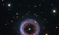 Annular Planetary Nebula, Shapley 1 (Photo)
