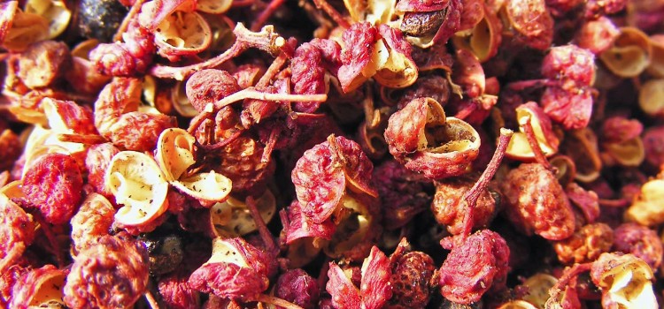 The Sichuan pepper has a pungent flavor and slight lemon taste to it. Much like a tiny electric shock, it produces a tingling and buzzing sensation with a bit of numbness when eaten.(Courtesy of New Tang Dynasty)