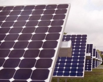 Solar photovoltaic panels generate electricity at an Exelon solar power facility in Chicago, Illinois. (Scott Olson/Getty Images)