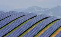 Green Sector Forges Ahead