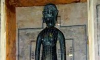 Origins of Colds and Allergies: Interview with a Western-Trained Traditional Chinese Doctor