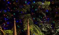 New York City Events Picks