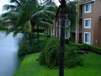 Fay Soaks South Florida, Does Little Damage