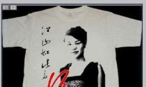 Chinese People Continue to Support Waitress Who Killed Party Official