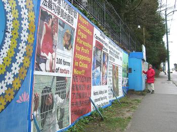 A Falun Gong practitioner stands outside the shelter that the City of Vancouver says violates a bylaw. The Falun Gong have maintained a 7-year vigil outside the Chinese consulate on Granville St. to raise awareness of the persecution of their counterparts in China. (Helena Zhu)