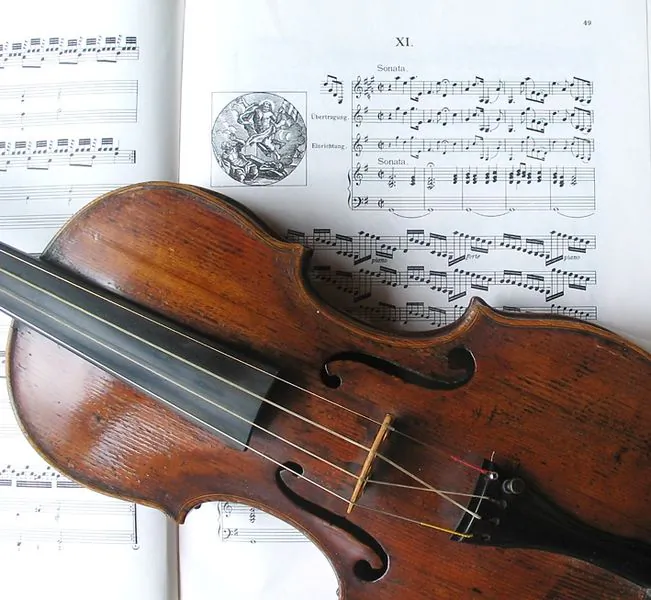 Soon, budding violin virtuosos everywhere might be able to afford the sound of a Stradivarius without paying a fortune thanks to continuing research on a white-rot fungus. (Wikimedia Commons)