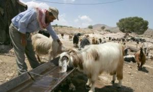 Water Access a Casualty in Middle East Conflict