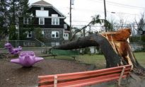Wind Storm Ravages NYC, Westchester