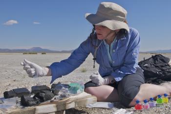 SEARCHING FOR THE EXTRAORDINARY: Dr. Felisa Wolfe-Simon takes samples from a sediment core she pulled up from the remote shores of 10 Mile Beach at Mono Lake in California. She used these samples as starters for cultures to select for interesting microbes that can survive and flourish with high amounts of arsenic and no added phosphorus. (Henry Bortman) SEARCHING FOR THE EXTRAORDINARY: Dr. Felisa Wolfe-Simon takes samples from a sediment core she pulled up from the remote shores of 10 Mile Beach at Mono Lake in California. She used these samples as starters for cultures to select for interesting microbes that can survive and flourish with high amounts of arsenic and no added phosphorus. (Henry Bortman)
