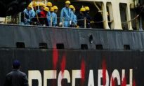 Former Sea Shepherd Captain Awaits Deportation From Japan