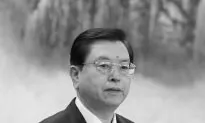 A Look at the New Chinese Communist Party Leaders: Zhang Dejiang
