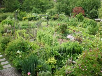 The summer food garden at the Garden Path Centre. (Carolyn Herriott) The summer food garden at the Garden Path Centre. (Carolyn Herriott)