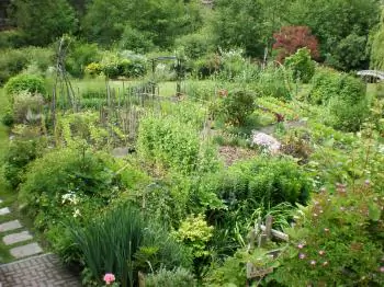 Zero Mile Diet Fosters Greater Food Self-Sufficiency
