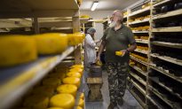 Russia Steamrolls Western Cheese, Fruit to Enforce Ban