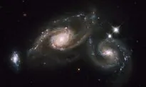 Early Universe Might Not Have Been So Chaotic