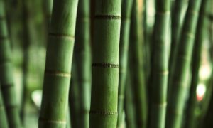 How a Bamboo Bedding Set Keeps You Cool on Scorching Summer Nights