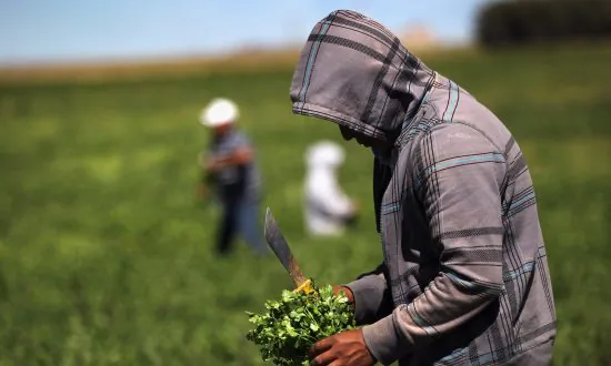 Report Challenges the Pro-Immigration Narrative