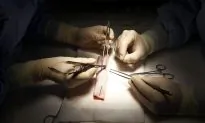Why Are Some Medical Schools Still Killing Pigs to Train Students?