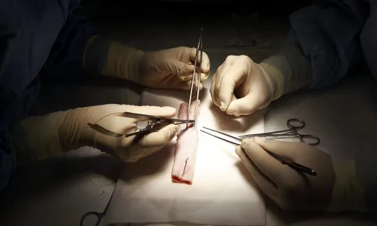 Why Are Some Medical Schools Still Killing Pigs to Train Students?