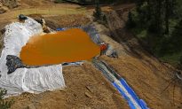 Pressure Mounting on EPA to Be Accountable for Gold Mine Spill