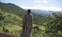 The Ashaninka of Peru: Rescued From Shining Path Militants, but Still at Risk