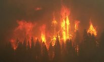 From Smokey Bear to Climate Change: The Future of Wildland Fire Management