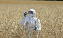 Former Pro-GMO Scientist Speaks Out on the Real Dangers of Genetically Engineered Food