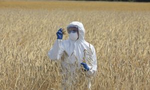 Former Pro-GMO Scientist Speaks Out on the Real Dangers of Genetically Engineered Food
