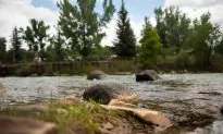 New Mexico Lifts Water Ban After Toxic Spill, Precautions Remain
