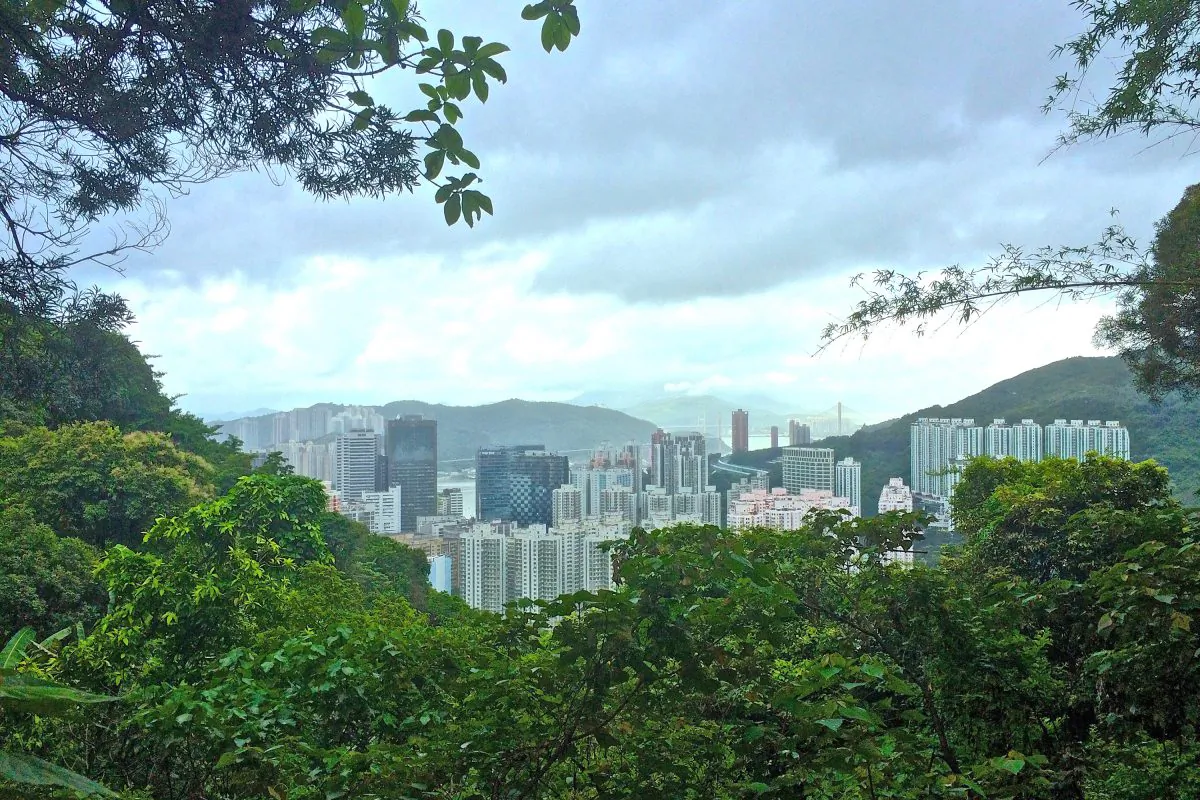 A view from the jogging path overlooking Tsuen Wan, after the stair climb. (Philip Evich)