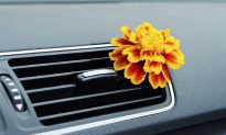 DIY Air Fresheners for Your Home & Car