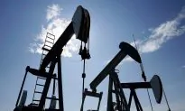 Presidential Contenders Differ Sharply on Climate, Energy