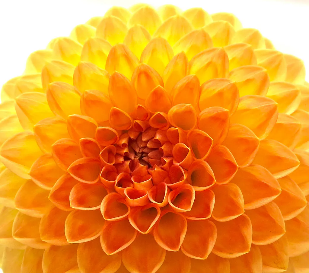 There is beauty in mathematical ideas and proofs. (torbakhopper/CC BY-ND 2.0)