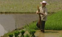 Unpaid Wages Cost Farmers Four to Every One Yuan