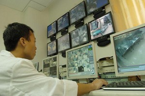 China Rushes Vaccines to Combat Swine Flu Spread