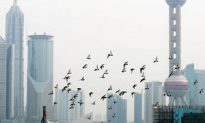 Guangzhou Man Died of Suspected Bird Flu