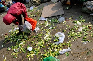 A woman in a Beijing market scavenging for edible vegetables. (Teh Eng Koon/AFP/Getty Images)
