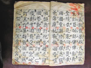 Mysterious ancient books found in Chongqing. For the past two years no one has been able to read them. (Epoch Times screen shot taken from 21 cn.com)