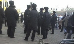 Continued Suppression of Yilishen Ant Farmers