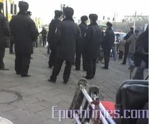 Continued Suppression of Yilishen Ant Farmers
