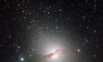 Southern Stars: The Decade Ahead for Australian Astronomy