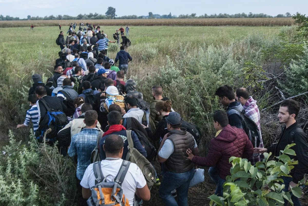 Illegal migrants  make their way  near  the railway crossing at the border between Hungary and Serbia near Roszke, 180 kms southeast from Budapest, Hungary, Tuesday Aug. 25, 2015.  (Sandor Ujvari/MTI via AP)