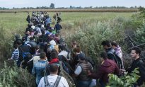 Hungary Shuts Down Rail Traffic for Westward-Bound Migrants