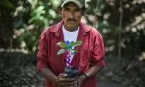 Demand for Coffee Squeezes Poor Farmers