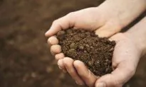 This Hot Process Revives Soil After Oil Spills