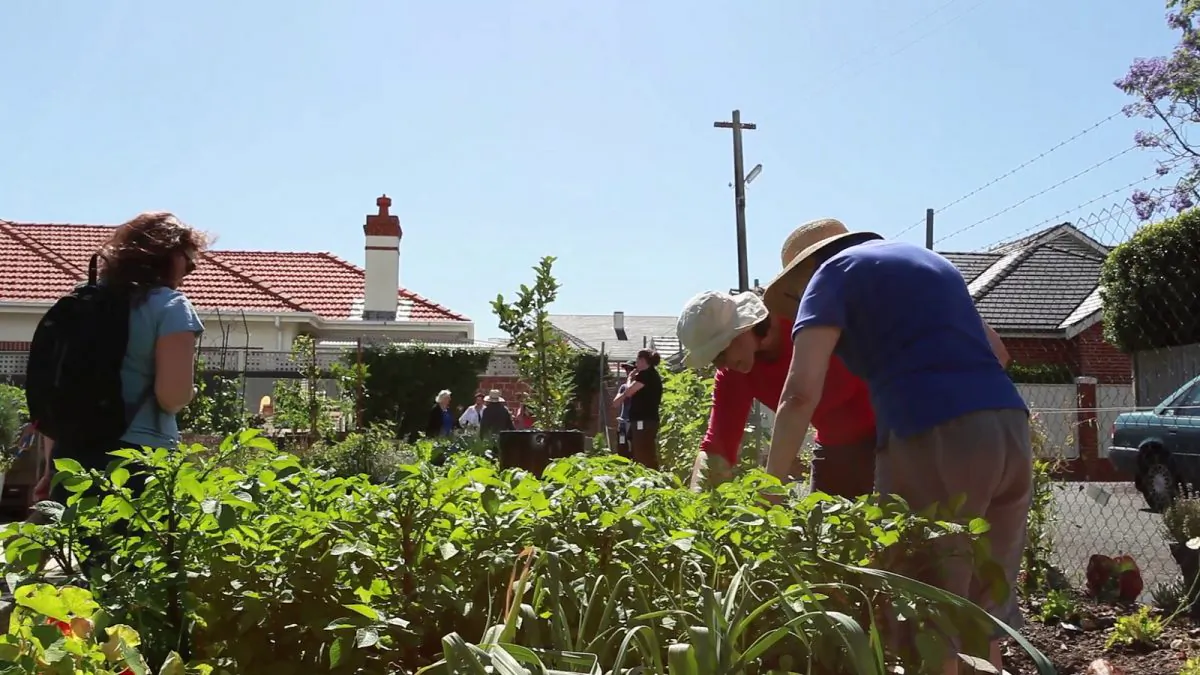 Digging up that nature strip and planting tomatoes is one way of reducing consumption. (Mosman Council/CC BY 2.0)
