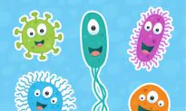 How Conventional Medical Germophobia Ruins Health