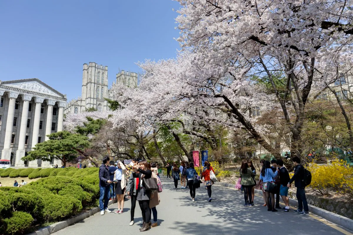 The graduate employment market is tough. Can your choice of uni affect your outcomes?  (hanhanpeggy/iStock)