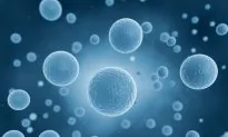 What Lies Behind the Hype and the Hope of Stem Cell Research and Therapy