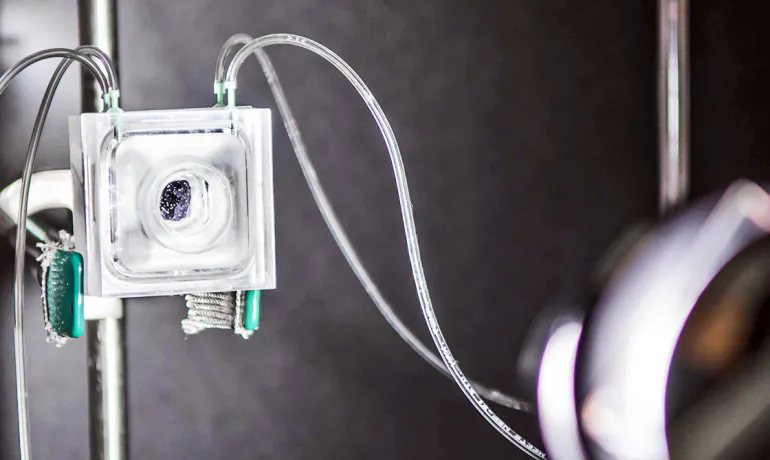 "Our work shows that it is indeed possible to produce fuels from sunlight safely and efficiently in an integrated system with inexpensive components," says Nate Lewis. Above: A stand-alone prototype of a new artificial leaf system. (Lance Hayashida/Caltech)